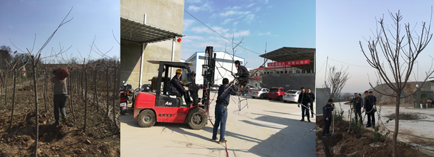 寶雞捷銳“迎春風(fēng)，綠家園”植樹節(jié)(圖2)